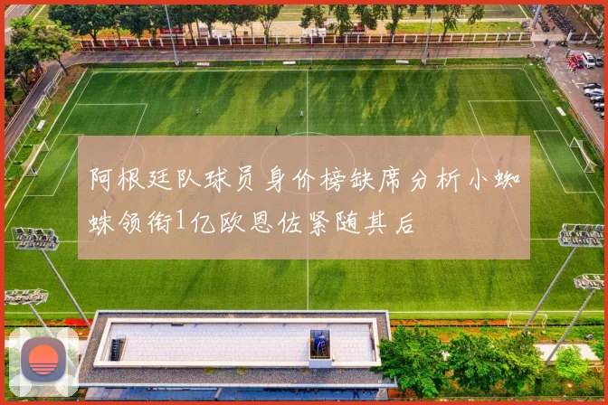阿根廷队球员身价榜缺席分析小蜘蛛领衔1亿欧恩佐紧随其后